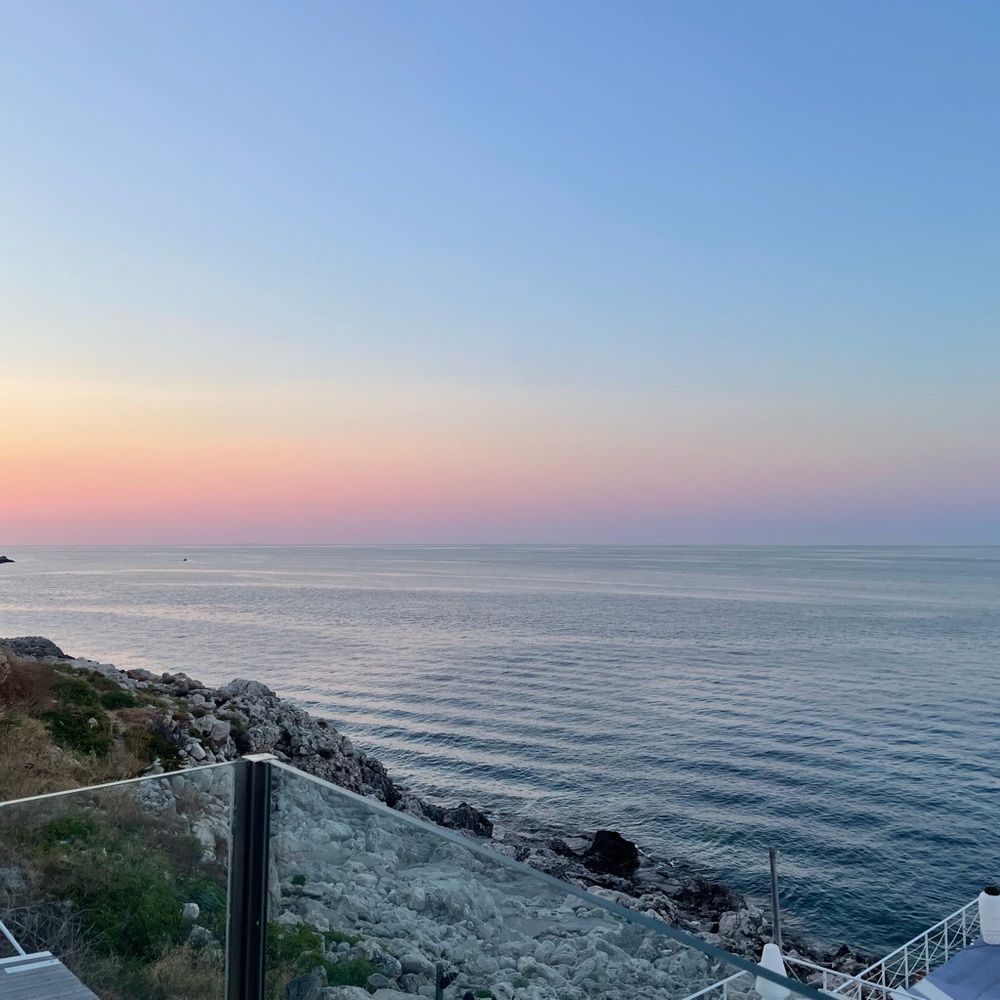 Meet your Posher, Sophie